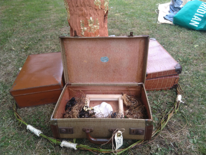 vintage suitcase filled with seaweed