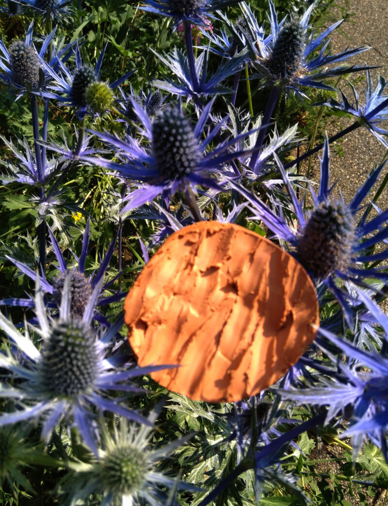 clay disc surrounded by thistle flower